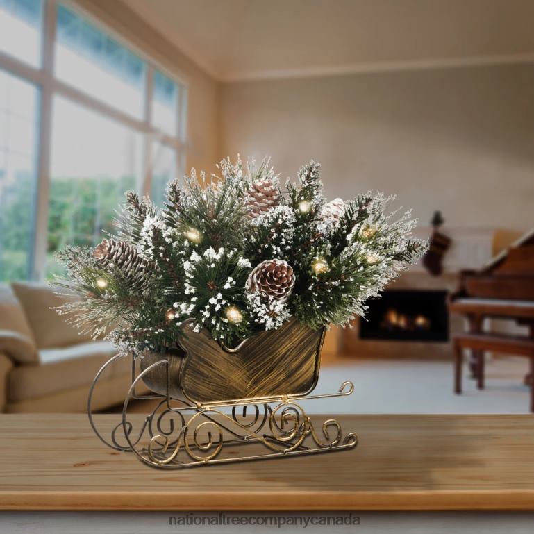 National Tree Company 10\ Glittery Bristle Pine Sleigh with White Tipped Cones 68R08441