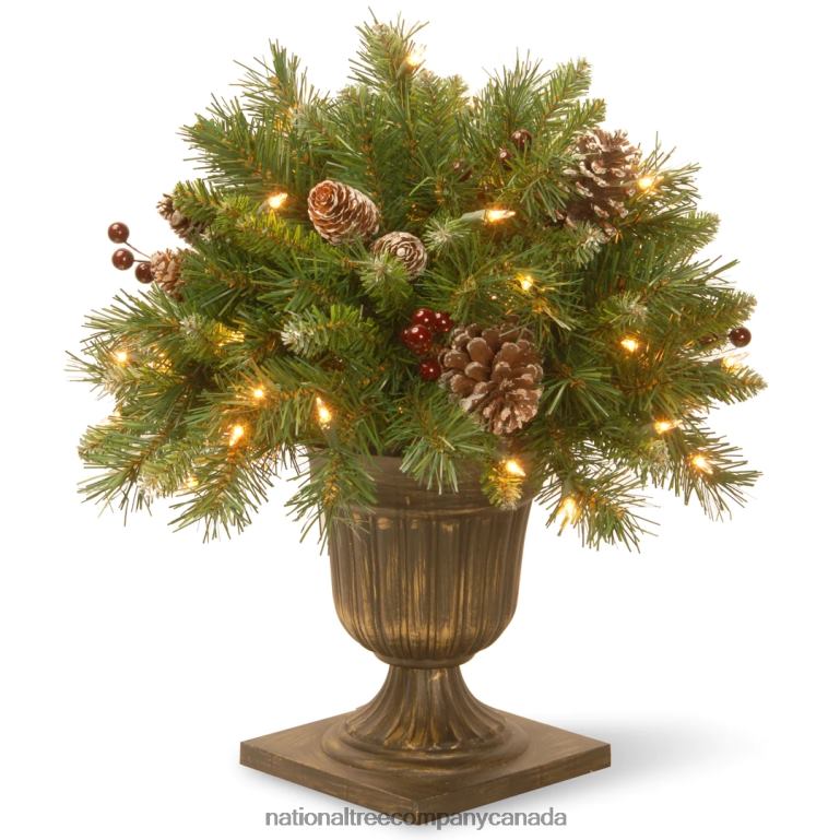 National Tree Company 18in Frosted Berry Porch Bush with Clear Lights 68R08468