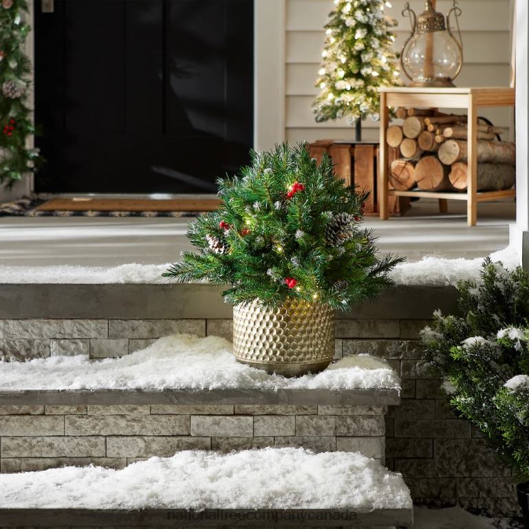 National Tree Company 18in Frosted Berry Urn Filler with Battery Operated Warm White LED Lights 68R08434