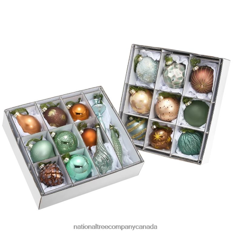 National Tree Company 20-Piece Christmas Tree Ornament Set Alpine Collection 68R08586
