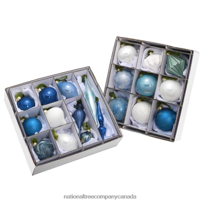 National Tree Company 20-Piece Christmas Tree Ornament Set Arctic Lights Collection 68R08532