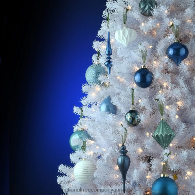 National Tree Company 20-Piece Christmas Tree Ornament Set Arctic Lights Collection 68R08532