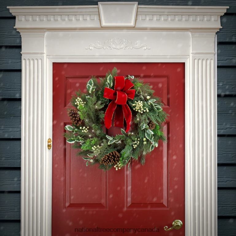 National Tree Company 22\ HGTV Home Collection Pre-Lit Holly and Berry Wreath 68R08248
