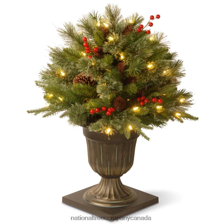 National Tree Company 24 Colonial Porch Bush with Clear Lights 68R08449