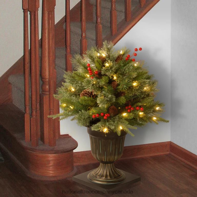 National Tree Company 24\ Colonial Porch Bush with Clear Lights 68R08449