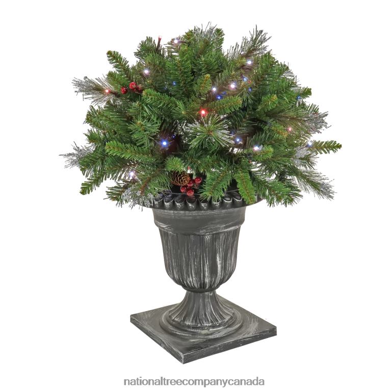 National Tree Company 24 Crestwood Spruce Porch Bush with Twinkly LED Lights 68R08506