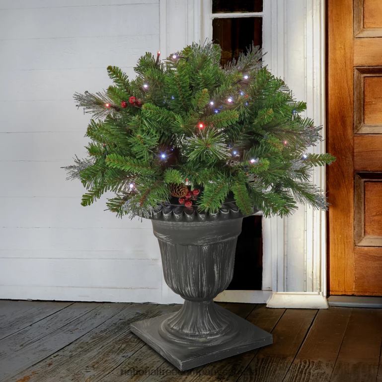 National Tree Company 24\ Crestwood Spruce Porch Bush with Twinkly LED Lights 68R08506