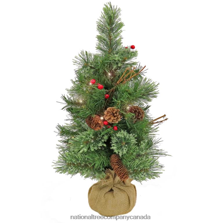 National Tree Company 24 Glistening Pine Small Tree with Pine Cones Red Berries and Twigs in a Burlap Base- 15 Warm White LED Lights- Battery Operated with Timer 68R0883