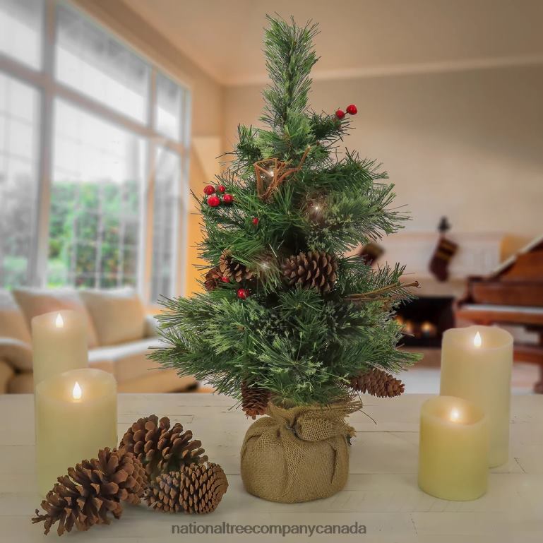 National Tree Company 24\ Glistening Pine Small Tree with Pine Cones Red Berries and Twigs in a Burlap Base- 15 Warm White LED Lights- Battery Operated with Timer 68R0883