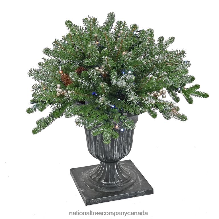 National Tree Company 24 Snowy Morgan Spruce Porch Bush with Twinkly LED Lights 68R08492