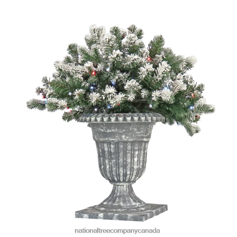 National Tree Company 24 Snowy Sheffield Spruce Porch Bush with Twinkly LED Lights 68R08494