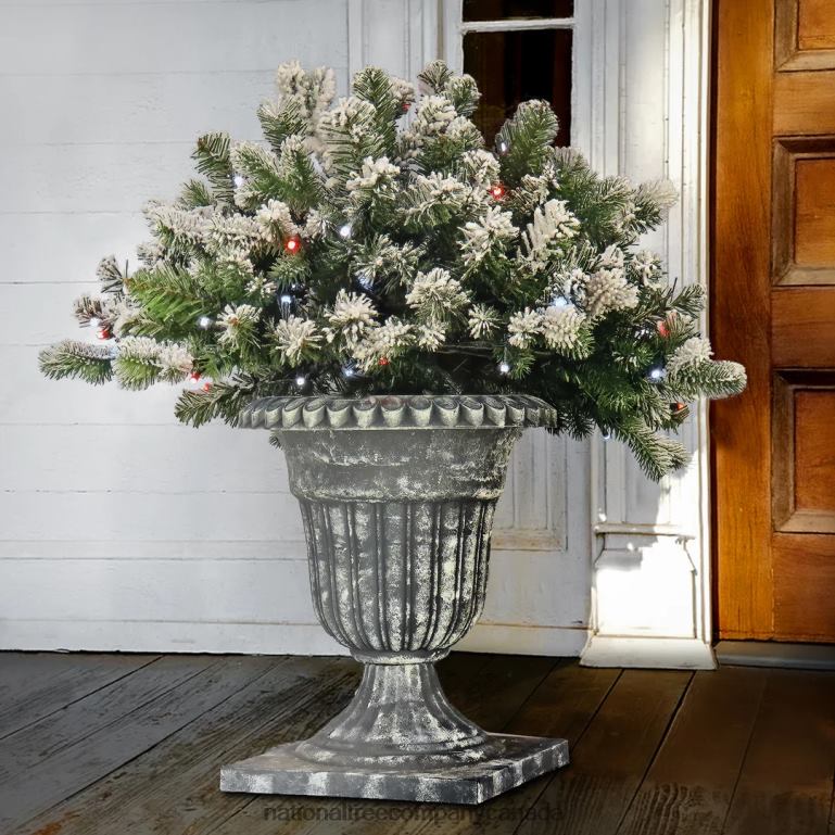 National Tree Company 24\ Snowy Sheffield Spruce Porch Bush with Twinkly LED Lights 68R08494