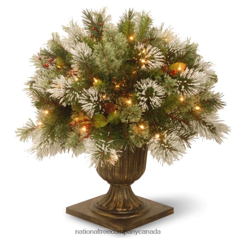 National Tree Company 24 Wintry Pine(R) Porch Bush with Clear Lights 68R08493