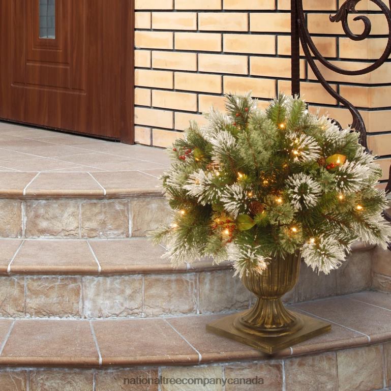 National Tree Company 24\ Wintry Pine(R) Porch Bush with Clear Lights 68R08493