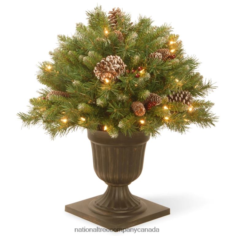 National Tree Company 24in Frosted Berry Porch Bush with Clear Lights 68R08475