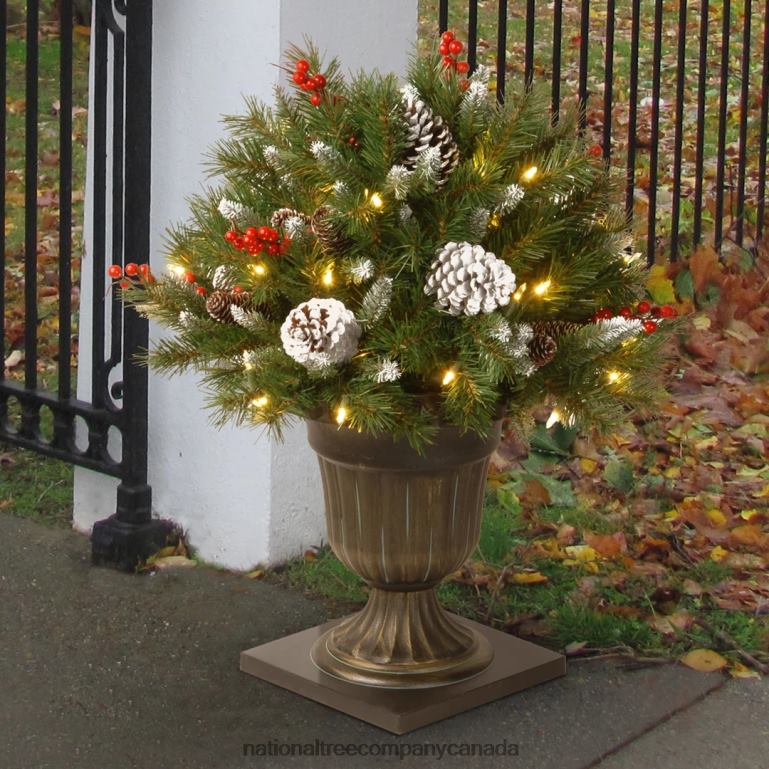 National Tree Company 24in Frosted Berry Porch Bush with Clear Lights 68R08475