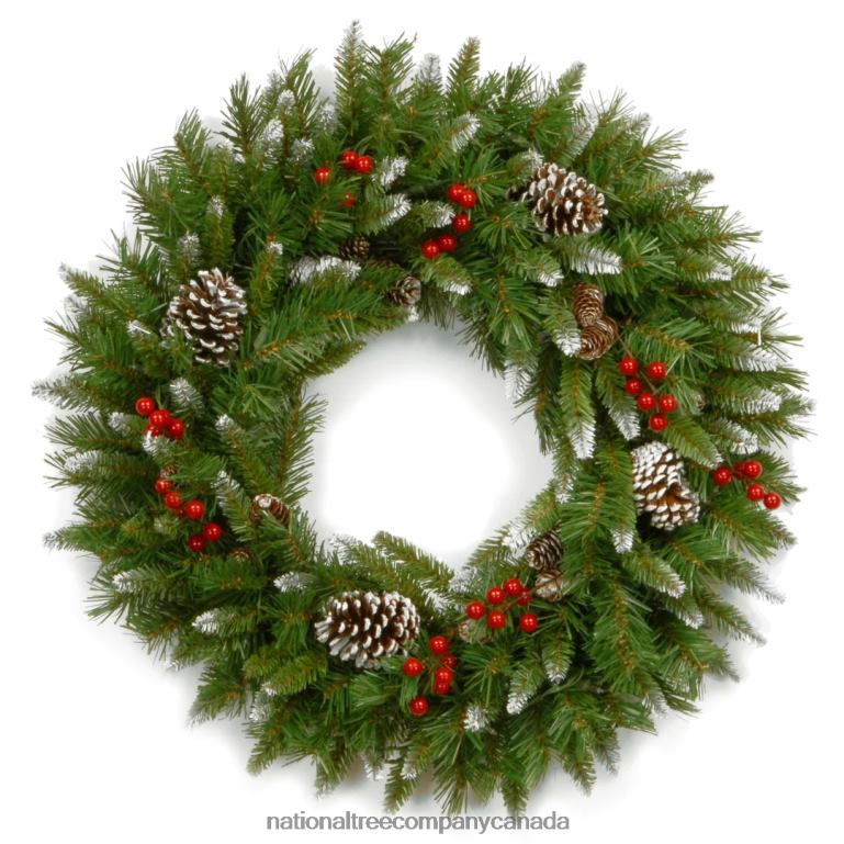 National Tree Company 24in Frosted Berry Wreath 68R08268