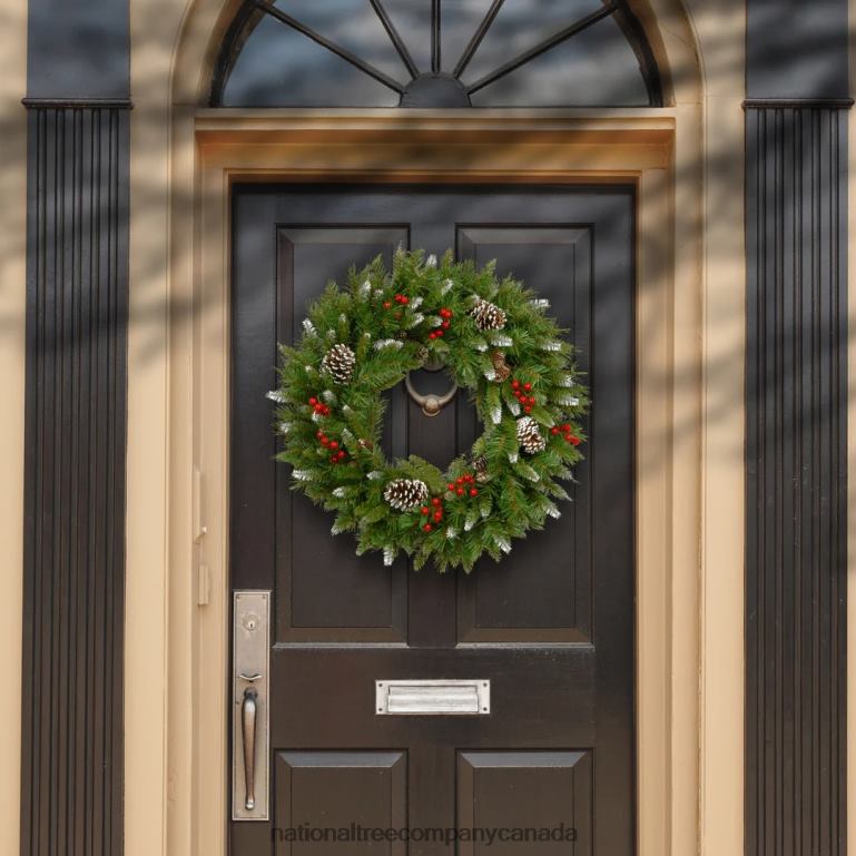 National Tree Company 24in Frosted Berry Wreath 68R08268
