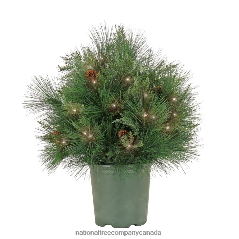 National Tree Company 26 HGTV Home Collection Pre-Lit Black Tie Planter Filler 68R08471