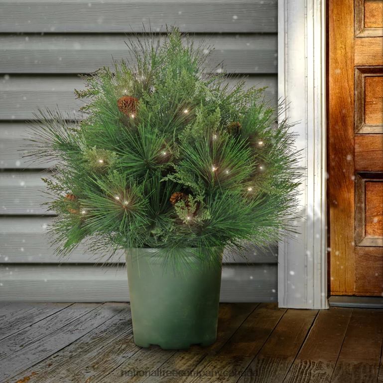 National Tree Company 26\ HGTV Home Collection Pre-Lit Black Tie Planter Filler 68R08471