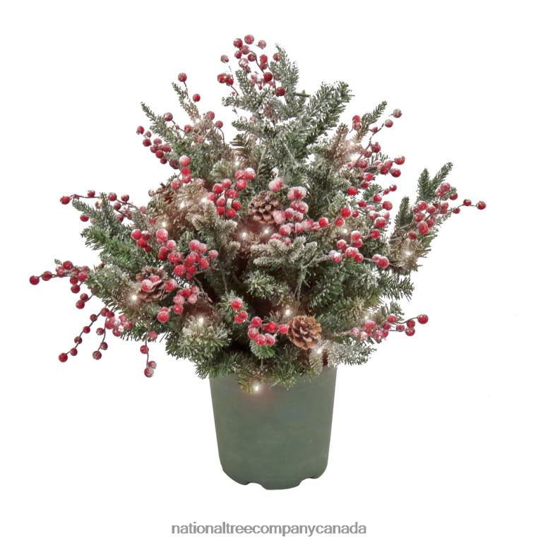 National Tree Company 28 HGTV Home Collection Pre-Lit Frosted Traditions Planter Filler 68R08447