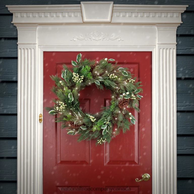 National Tree Company 28\ HGTV Home Collection Pre-Lit Holly and Berry Wreath 68R08277