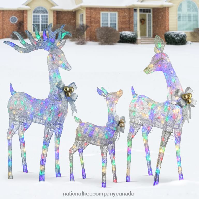 National Tree Company 3-Piece Deer Family with LED Lights 68R08622