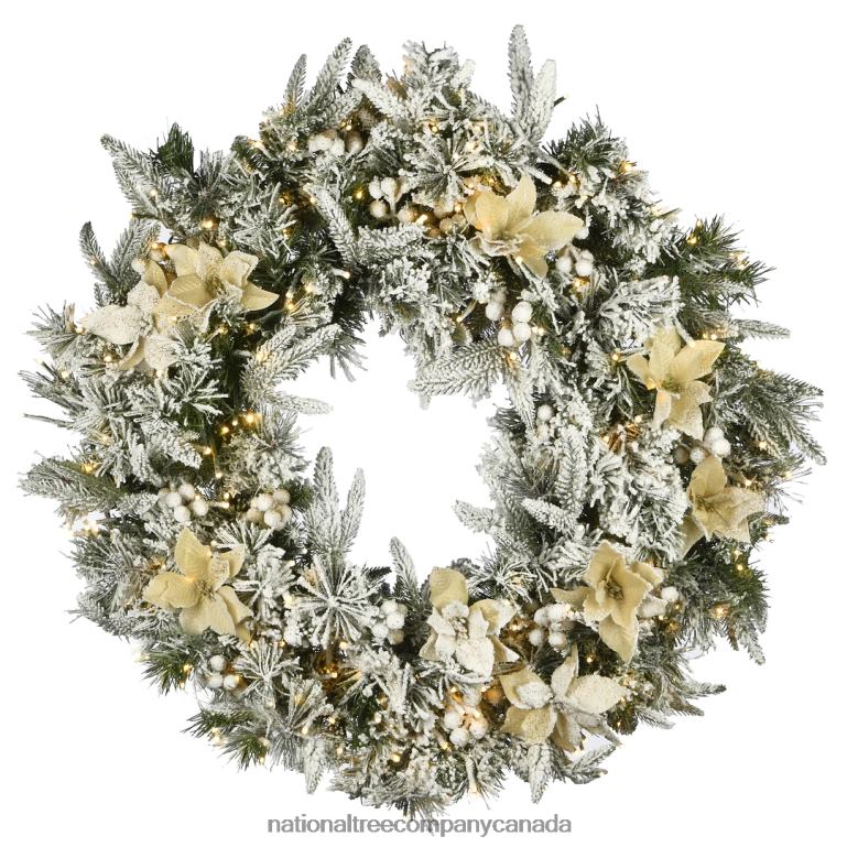 National Tree Company 30 Frosted Colonial Fir Wreath with Dual Color LED Cosmic Lights 68R08317