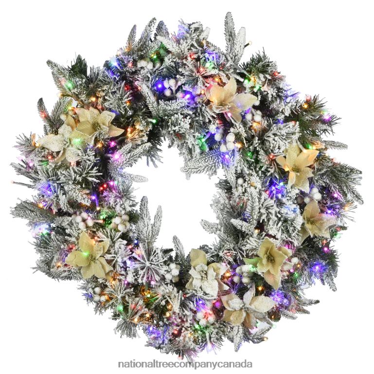 National Tree Company 30\ Frosted Colonial Fir Wreath with Dual Color LED Cosmic Lights 68R08317