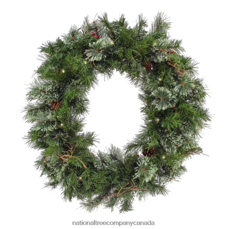 National Tree Company 30 Glistening Pine Wreath with LED Lights 68R08255