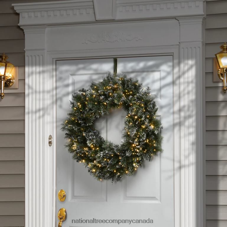 National Tree Company 30\ Glittery Bristle Pine Wreath with Dual Color LED Cosmic Lights 68R08262