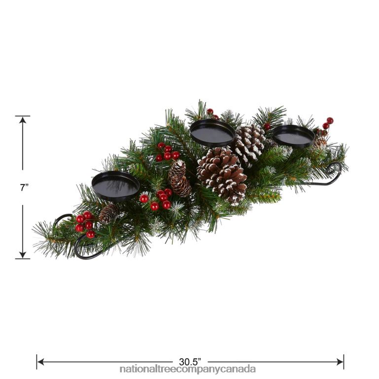 National Tree Company 30in Frosted Berry Centerpiece and Candle Holder 68R08455