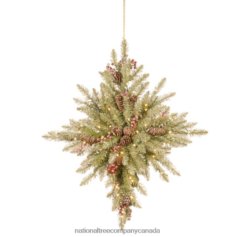 National Tree Company 32 in Snowy Dunhill Fir Bethlehem Star with Battery Operated LED Lights 68R08496