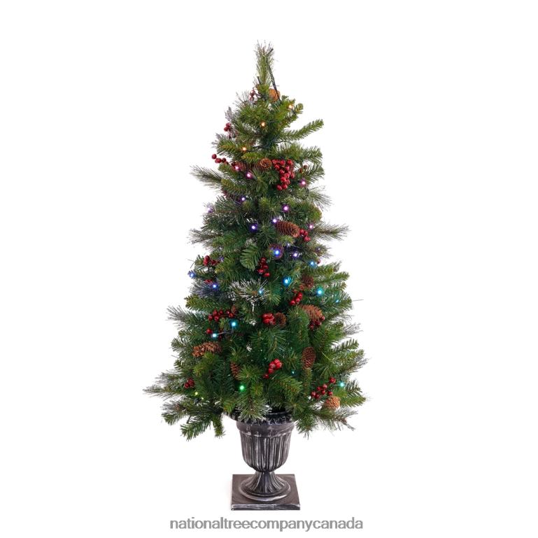 National Tree Company 4 ft Crestwood Spruce Entrance Tree with Twinkly LED Lights 68R08130