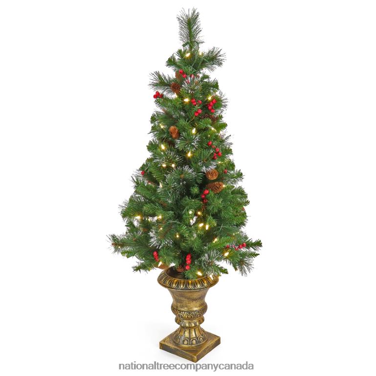 National Tree Company 4 ft Crestwood Spruce Entrance Tree with Warm White LED Lights 68R0810