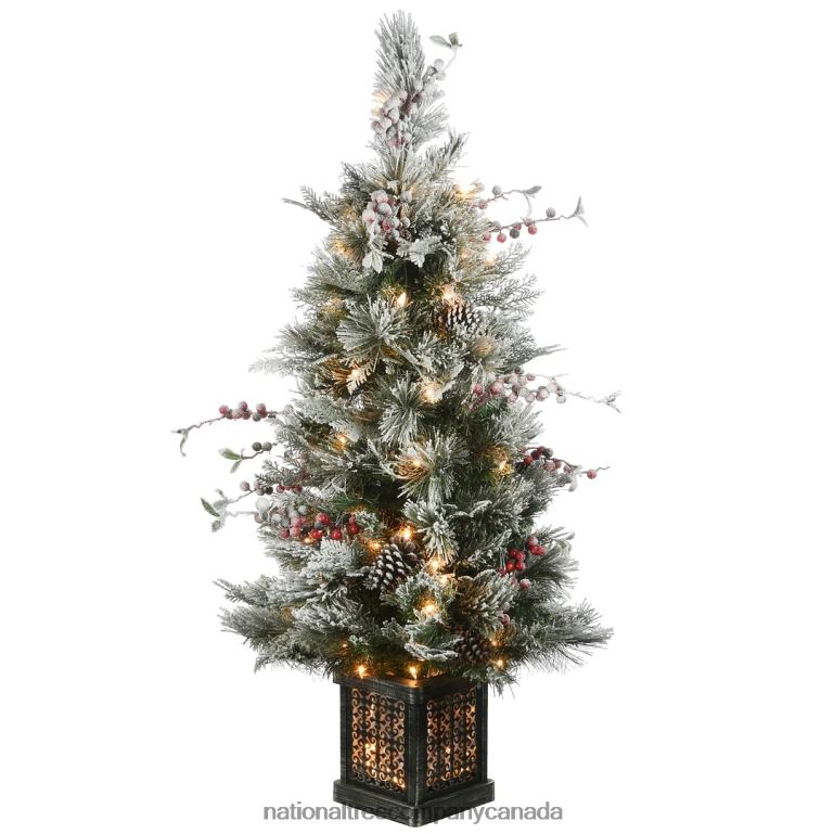 National Tree Company 4 ft Snowy Bedford Pine Entrance Tree with Clear Lights 68R0816