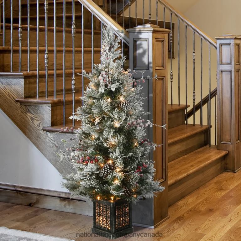 National Tree Company 4 ft Snowy Bedford Pine Entrance Tree with Clear Lights 68R0816