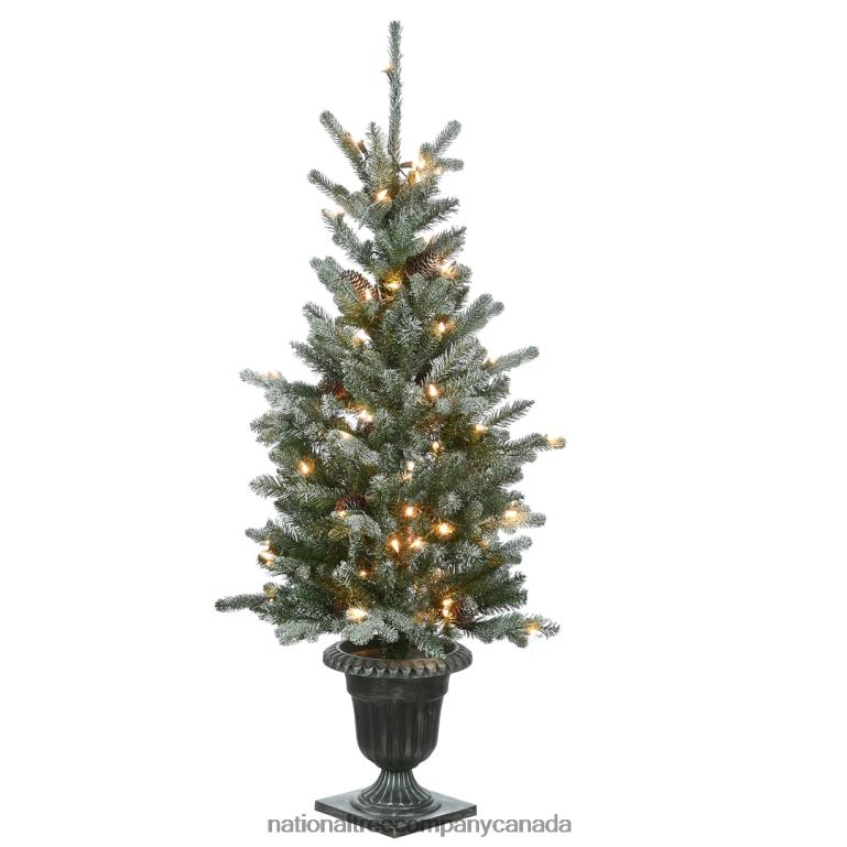 National Tree Company 4 ft Snowy Morgan Spruce Entrance Tree with Clear Lights 68R0889