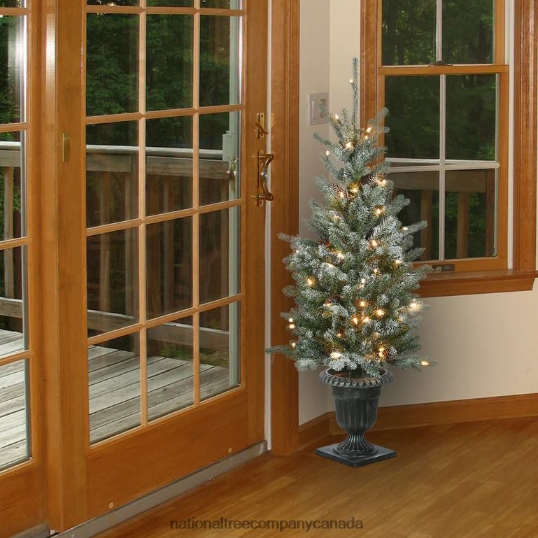 National Tree Company 4 ft Snowy Morgan Spruce Entrance Tree with Clear Lights 68R0889