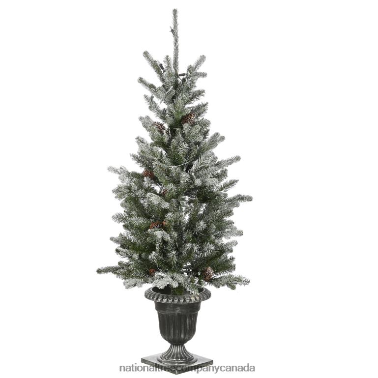 National Tree Company 4 ft Snowy Morgan Spruce Entrance Tree with Clear Lights 68R0889