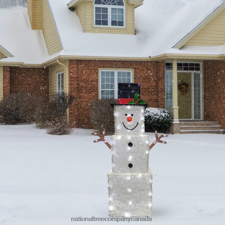National Tree Company 42\ Snowman Decoration with Cool White LED Lights 68R08616