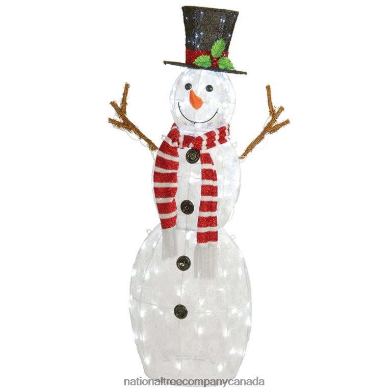 National Tree Company 48 in Pre-Lit Snowman Decoration 68R08597