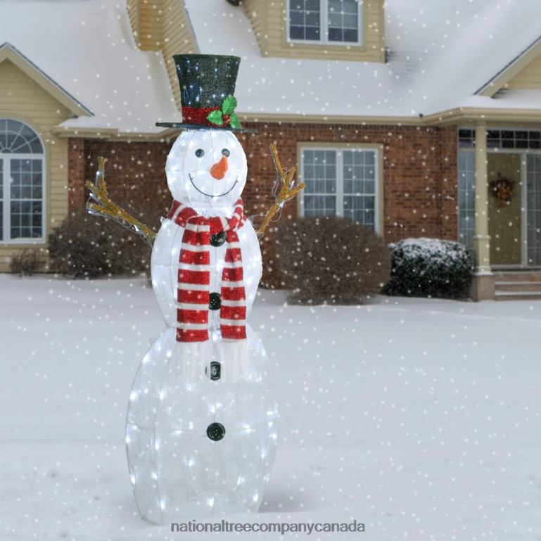 National Tree Company 48 in Pre-Lit Snowman Decoration 68R08597
