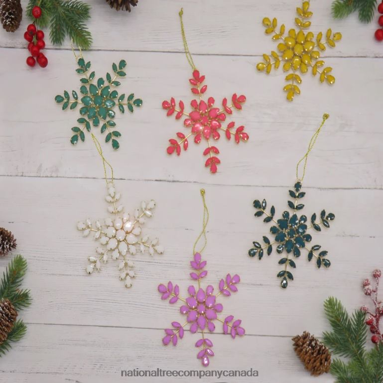 National Tree Company 6 Piece HGTV Home Collection Beaded Snowflake Ornaments 68R08535