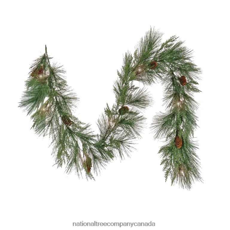 National Tree Company 6 ft HGTV Home Collection Pre-Lit Black Tie Cedar Garland 68R08345
