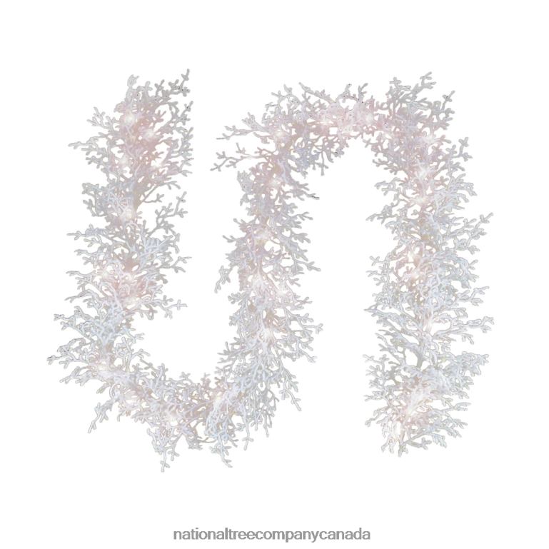 National Tree Company 6 ft HGTV Home Collection Pre-Lit Christmas by the Sea Coral Garland 68R08394