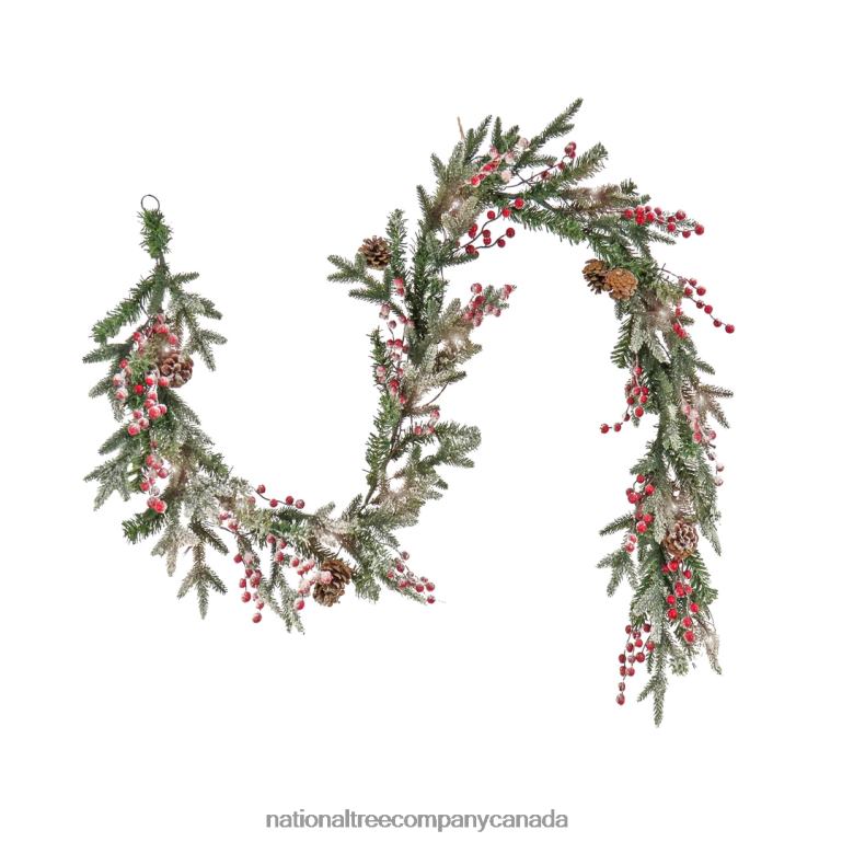National Tree Company 6 ft HGTV Home Collection Pre-Lit Frosted Traditions Garland 68R08349