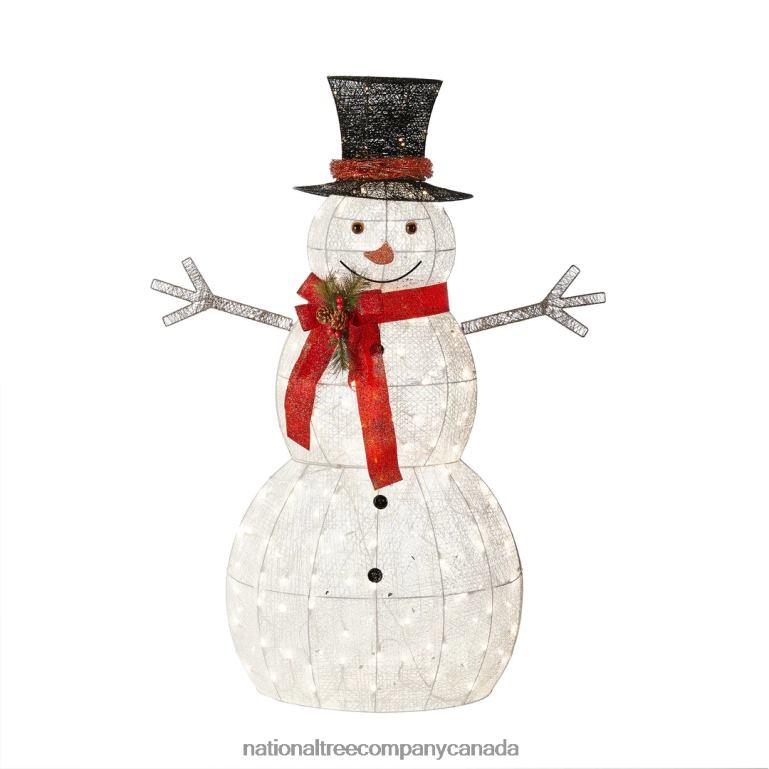 National Tree Company 60 Snowman Decoration with Warm White LED Lights 68R08602