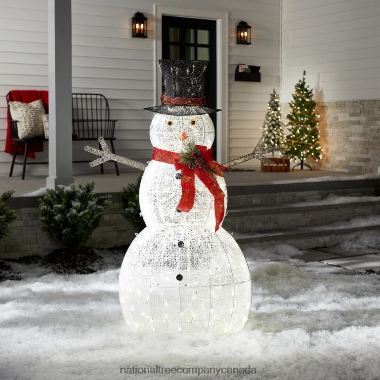 National Tree Company 60\ Snowman Decoration with Warm White LED Lights 68R08602