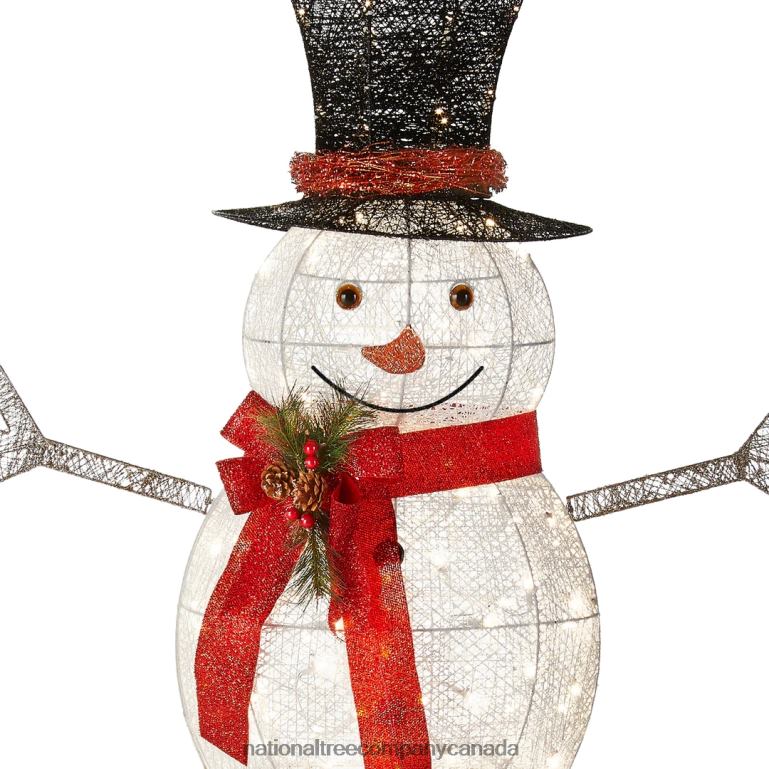 National Tree Company 60\ Snowman Decoration with Warm White LED Lights 68R08602